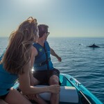 Jobe Unify Life Vest Men Real Teal Jobe Unify Life Vest Men Real Teal 2