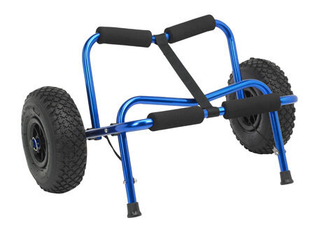 Palm Big Caddy Palm Big Caddy 1