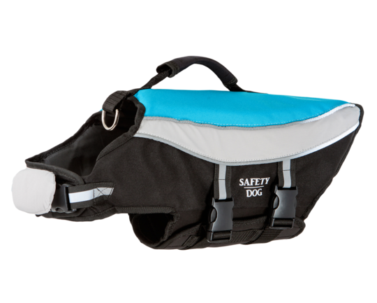 Aquarius Safety Dog 1